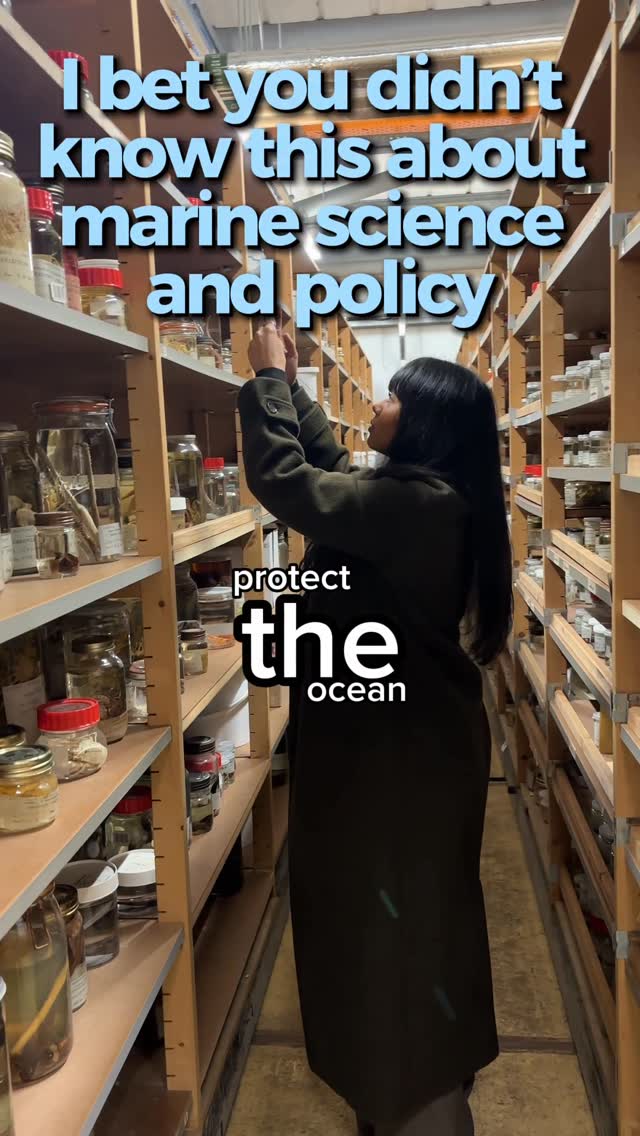 Marine science and policy