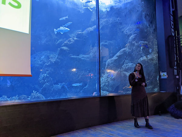 Wonder Women NMA talk